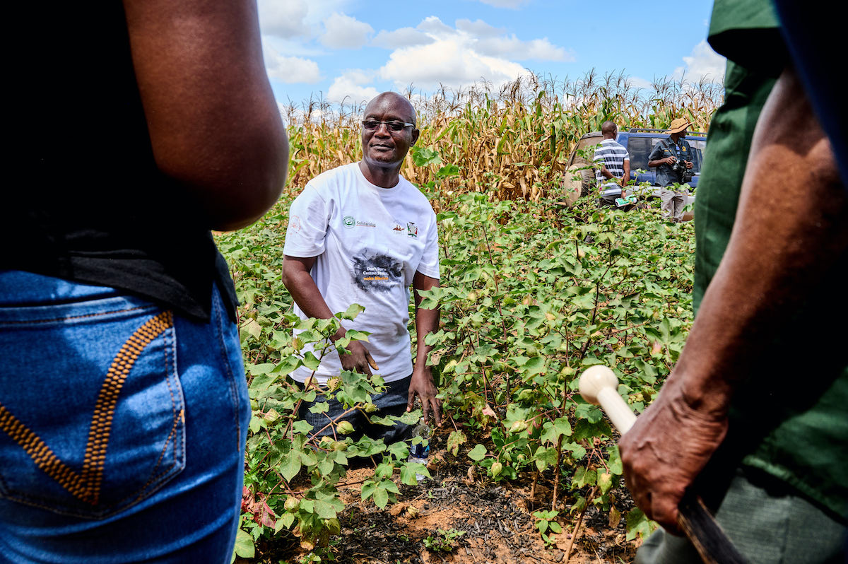 Solidaridad-Biochar-Project-Zambia-Results
